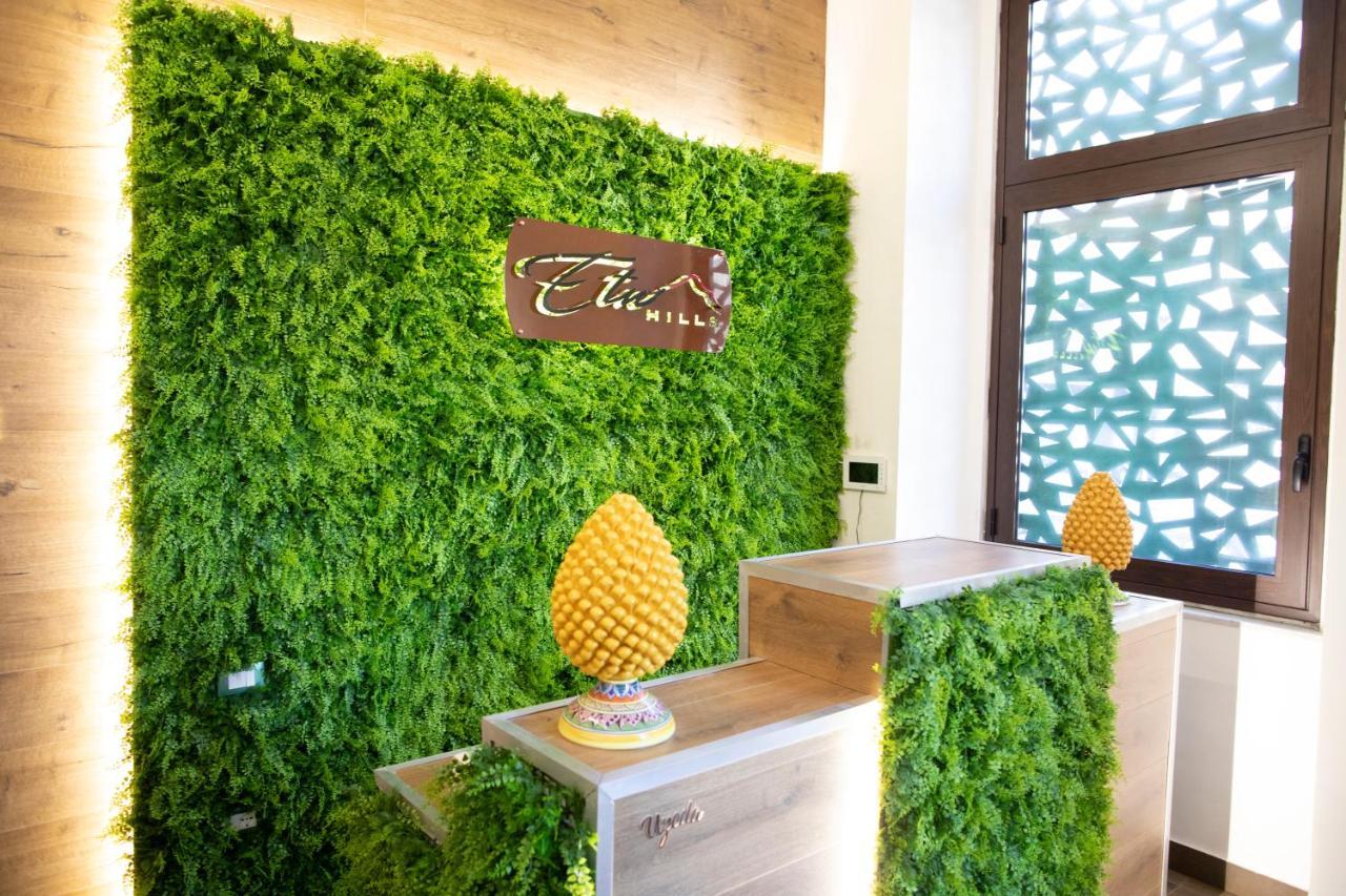Etna Hills Hotell CTA Exteriör bild